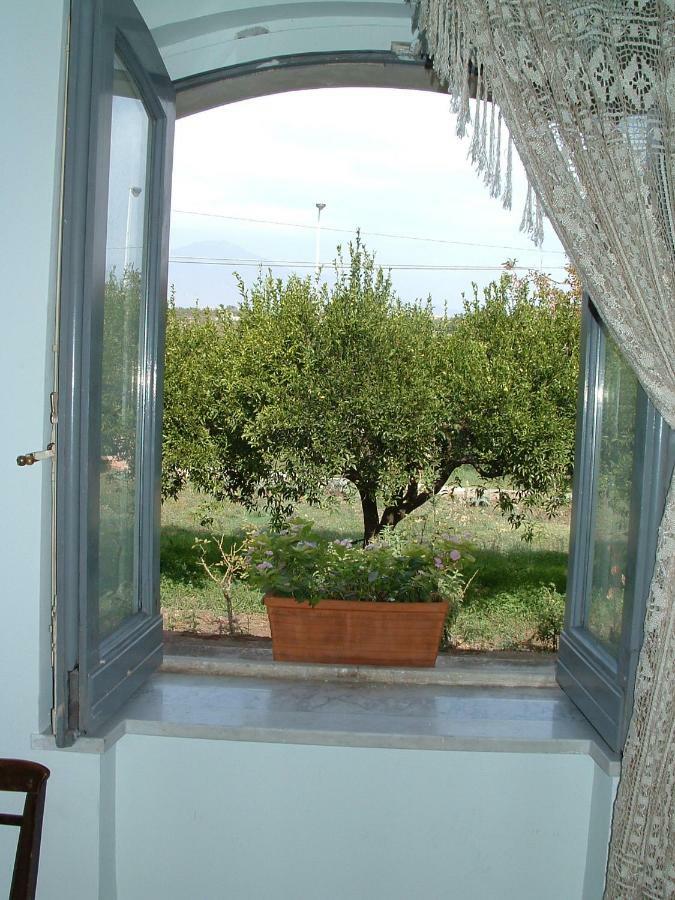 B&B Valle Allegra Gravina di Catania Exteriér fotografie